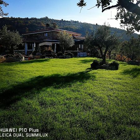 La Collina dei Goti Agriturismo ,Azienda Agricola Villa Cerreta  Esterno foto